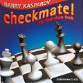 Checkmate!: My First Chess Book