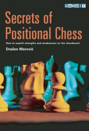 Secrets of Positional Chess